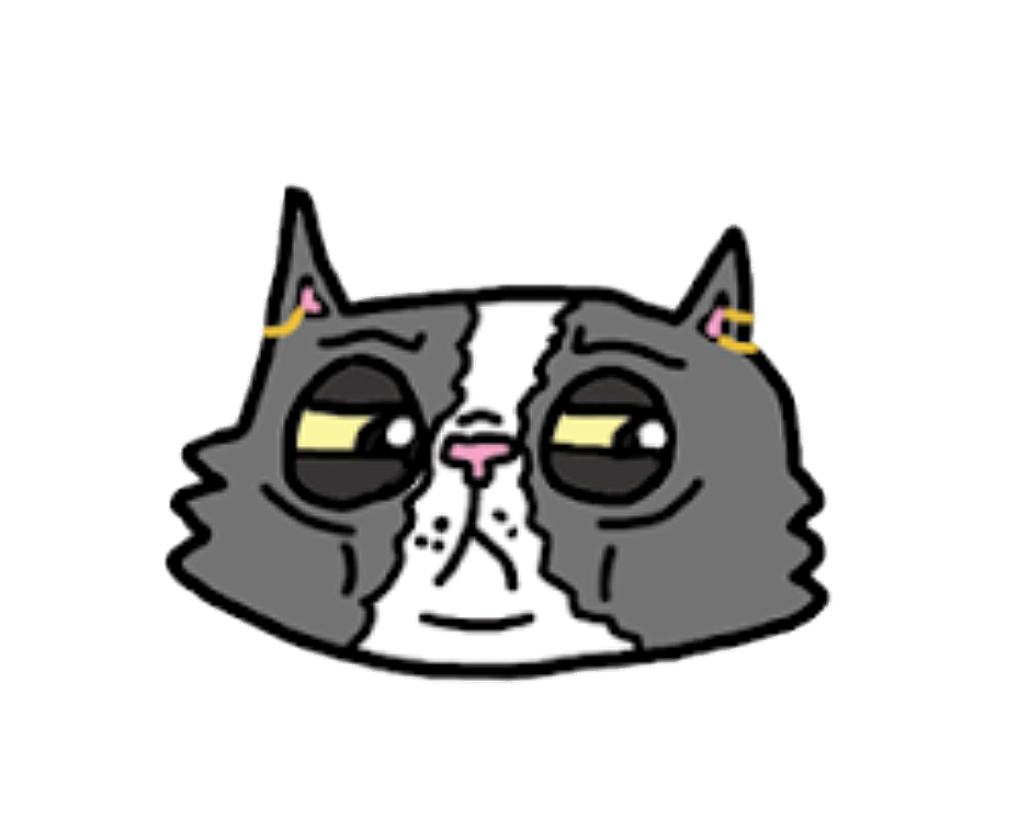 Trash Cats Animation Studio