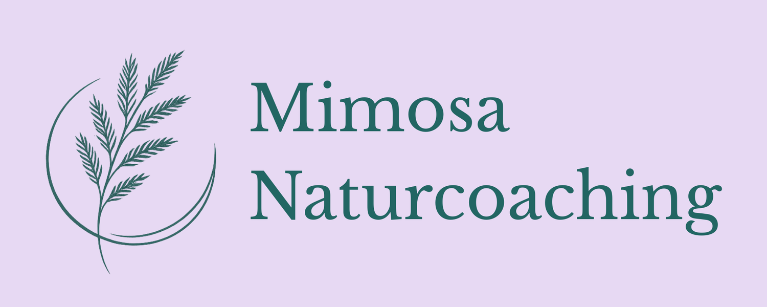 Mimosa Naturcoaching