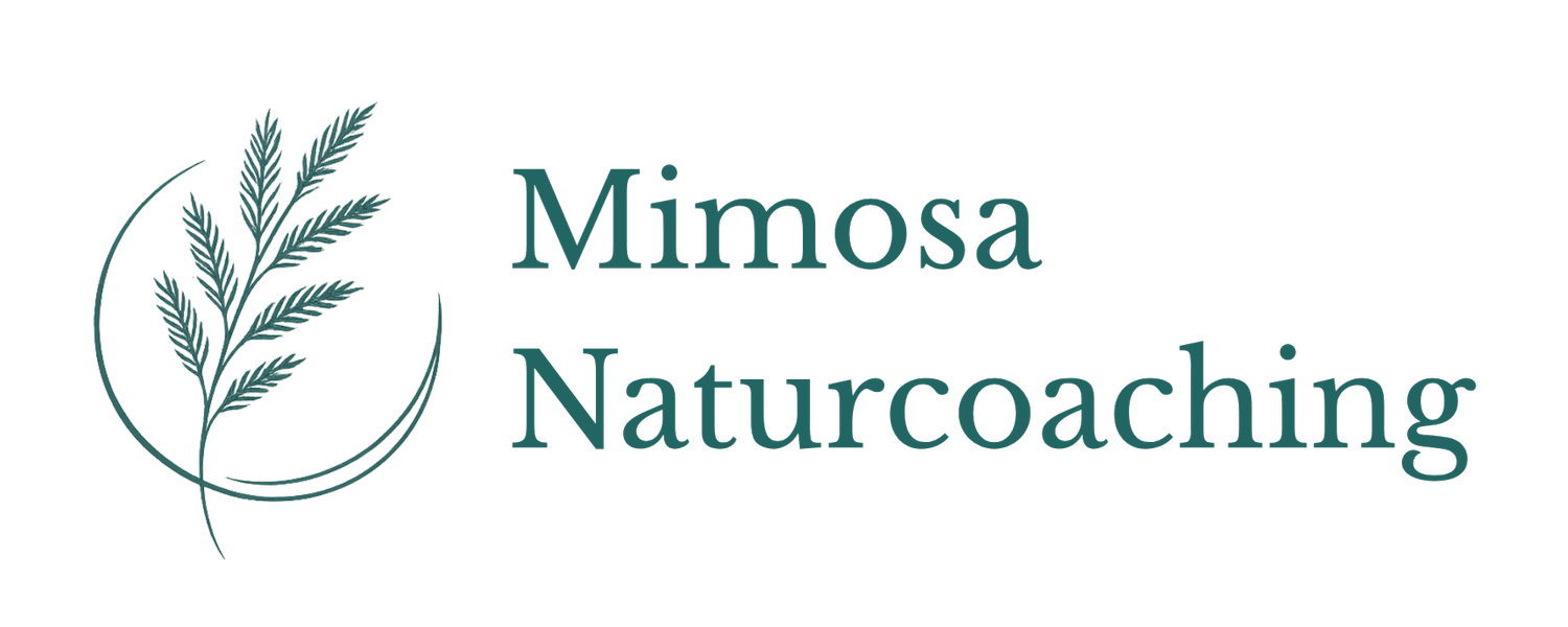 Mimosa Naturcoaching