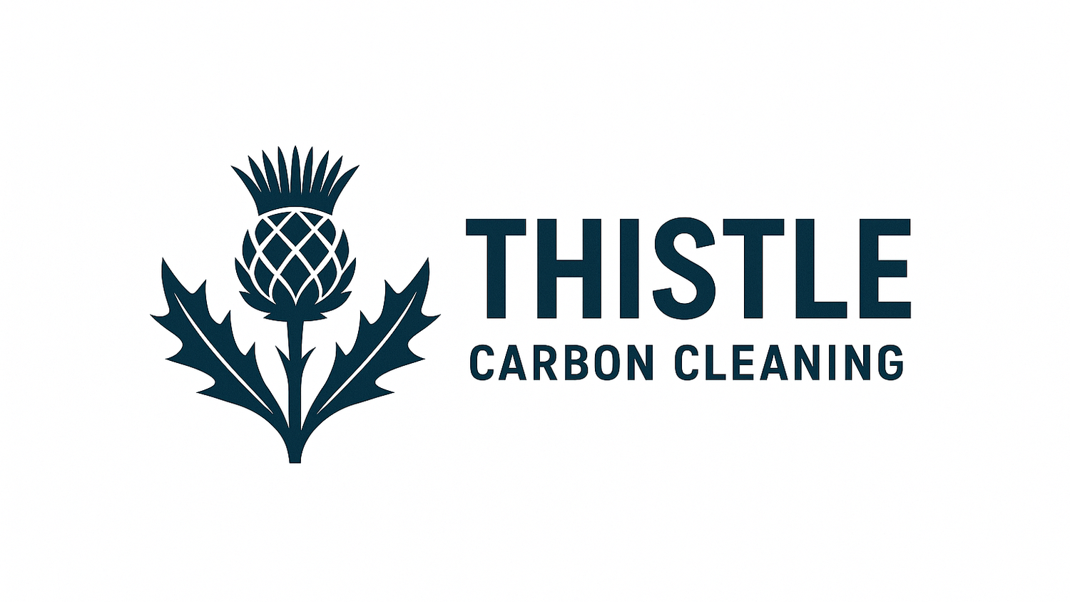 Thistle Carbon Cleaning