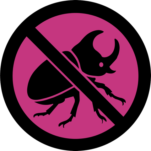 Coconut Beetle Solutions