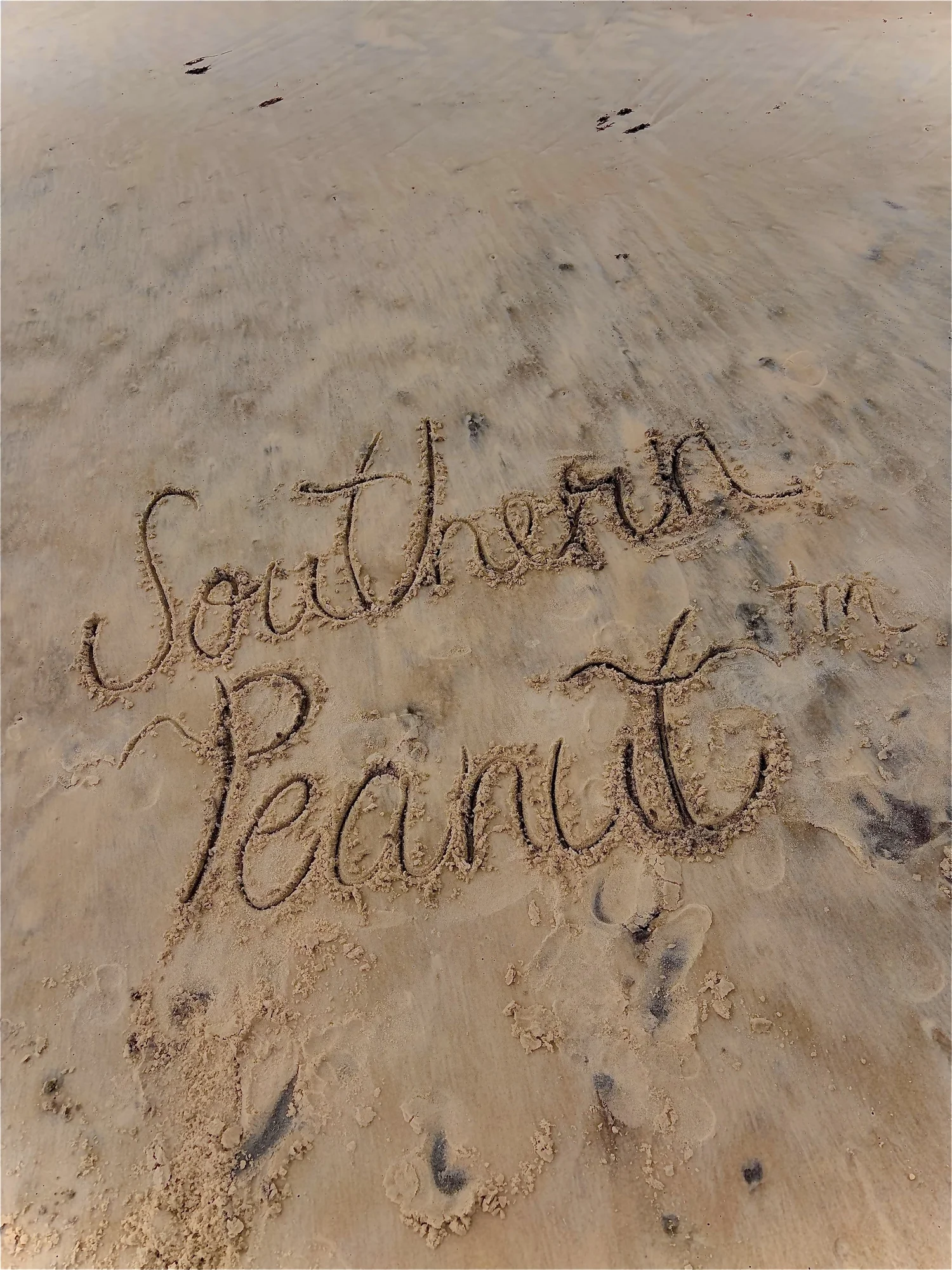 Southern Peanut