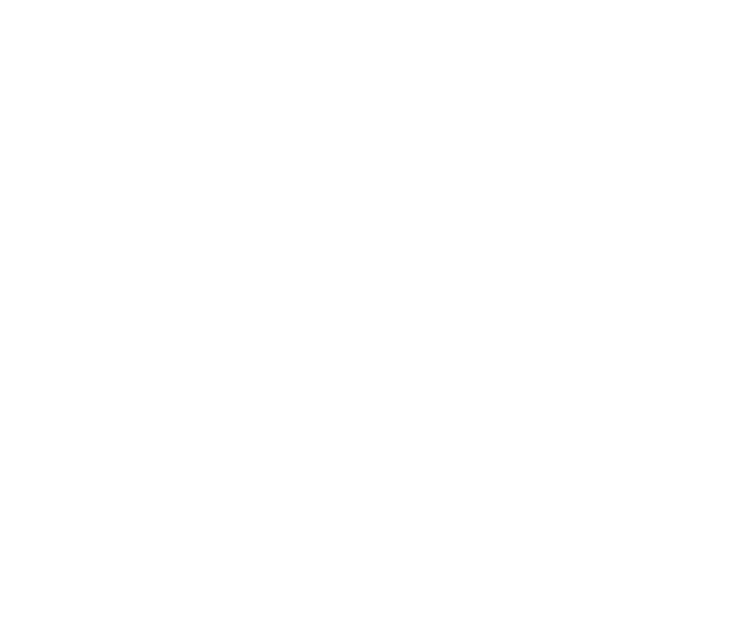 Mikeys Legacy Foundation