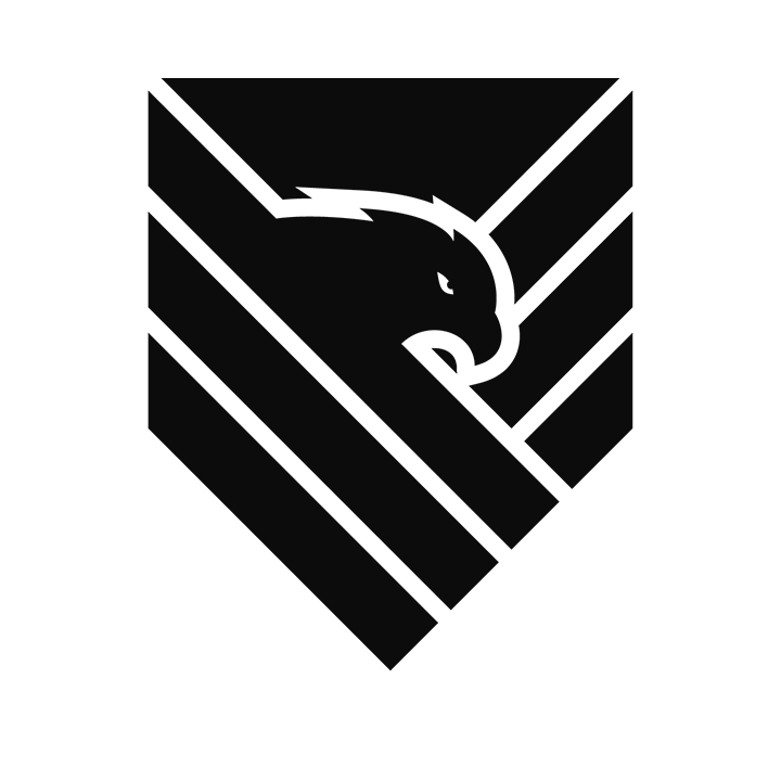 Stryker Security Inc | Private Residential Security