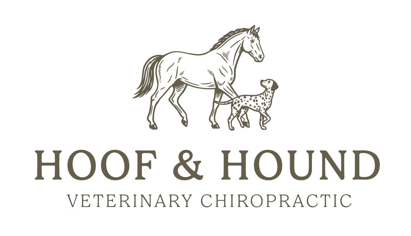 Hoof and Hound Veterinary Solutions