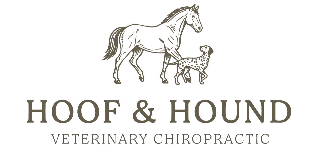 Hoof and Hound Veterinary Solutions
