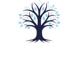 Touch of Wellness Rehab LLC