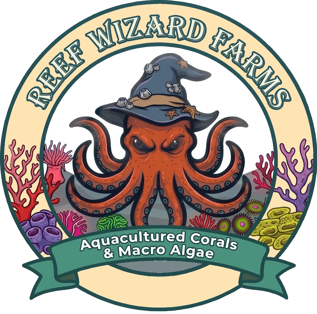 Reef Wizard LLC - Corals, Anemones, and Macroalgae
