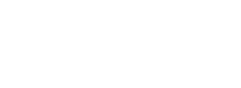 The Shelton Group