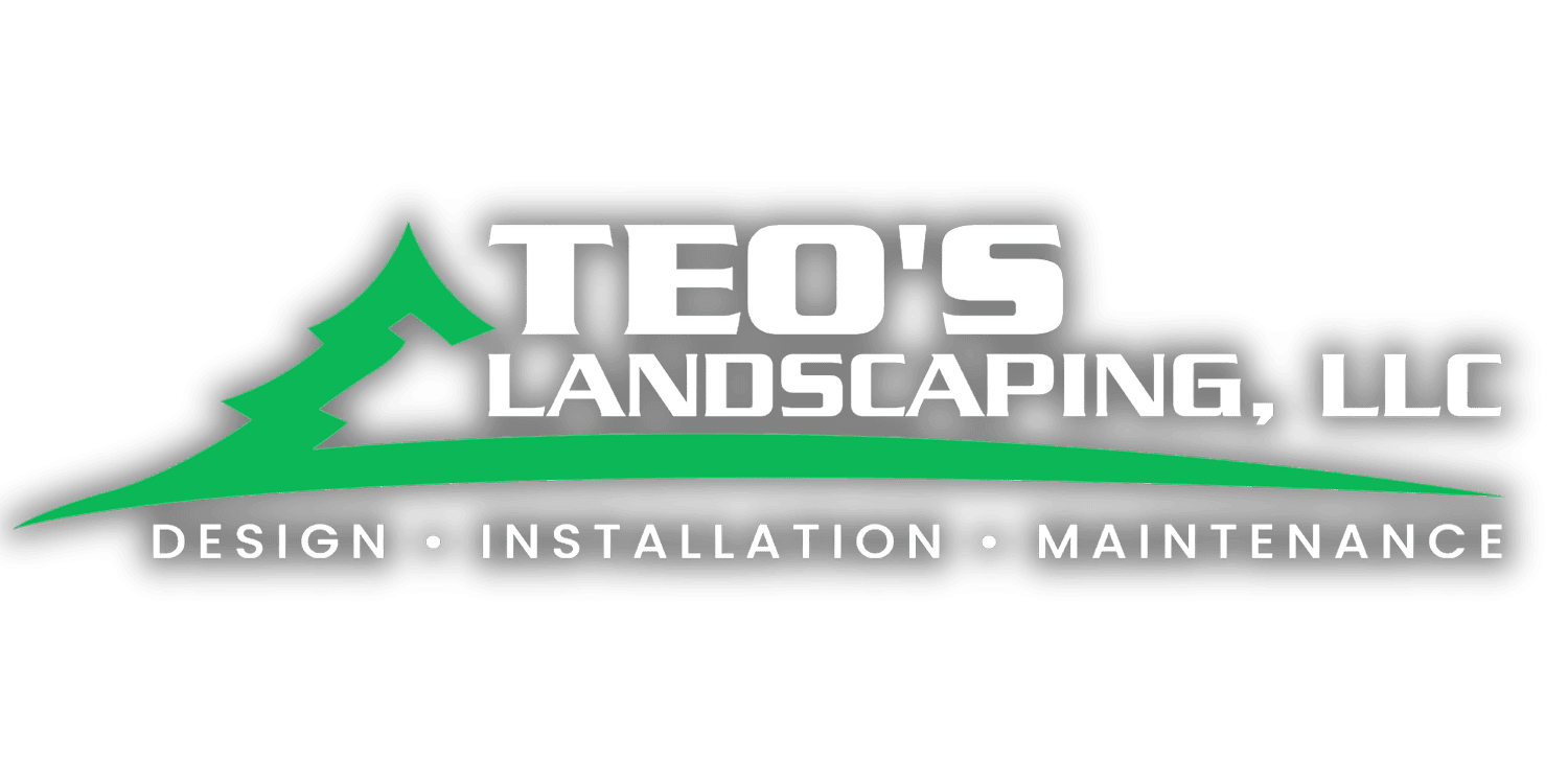 TEO'S LANDSCAPING LLC