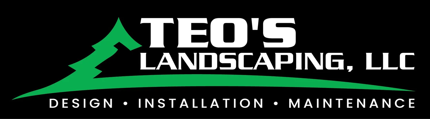TEO'S LANDSCAPING LLC