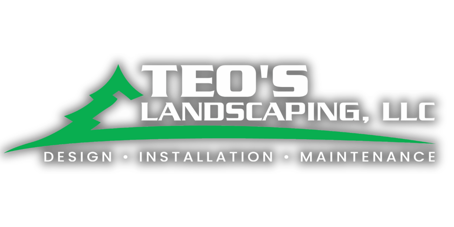 TEO'S LANDSCAPING LLC