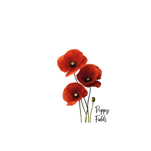 Poppy Fields - Where Nature & Nostalgia Converge