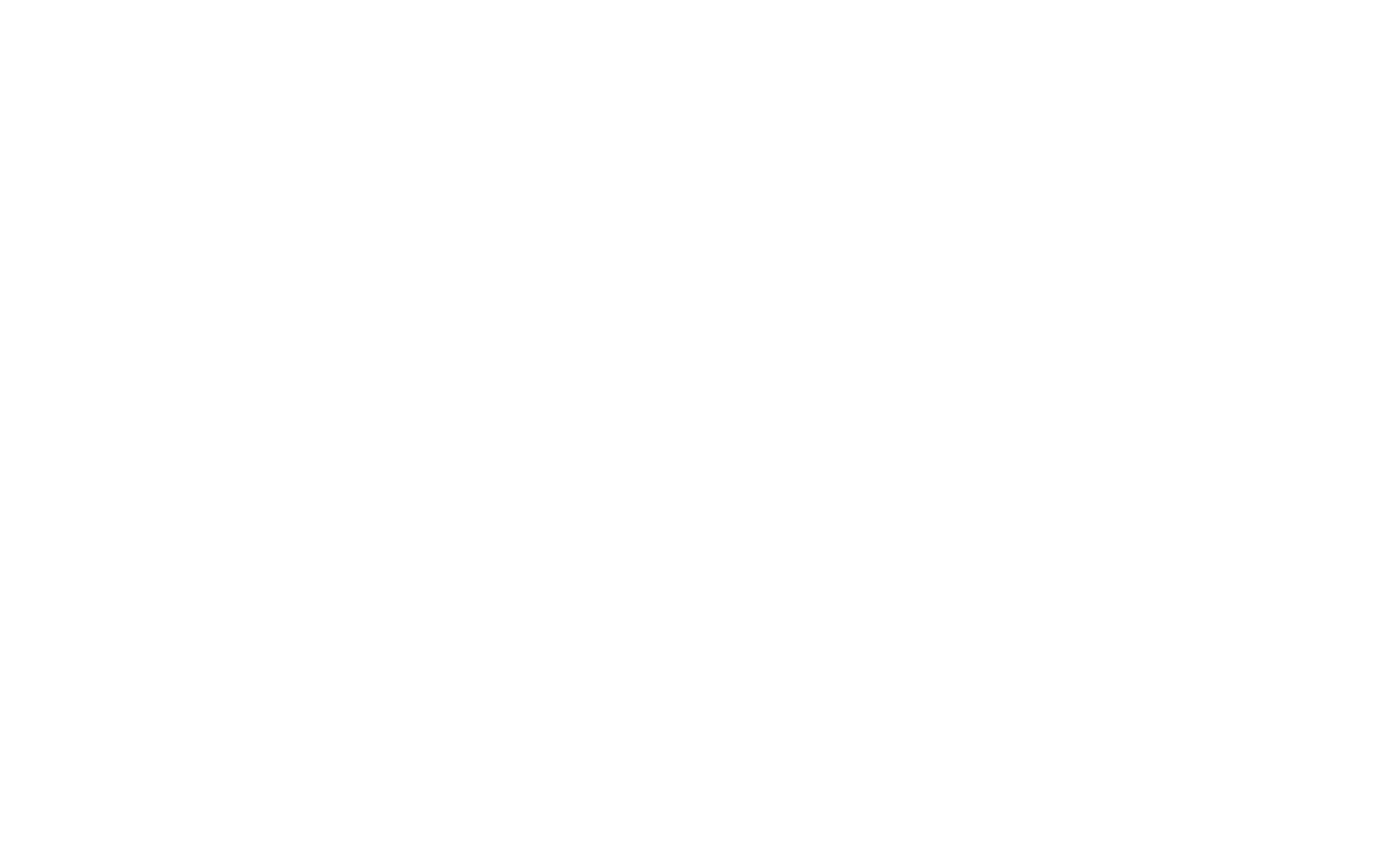 Venture Build