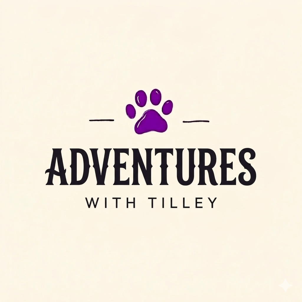 Adventures With Tilley