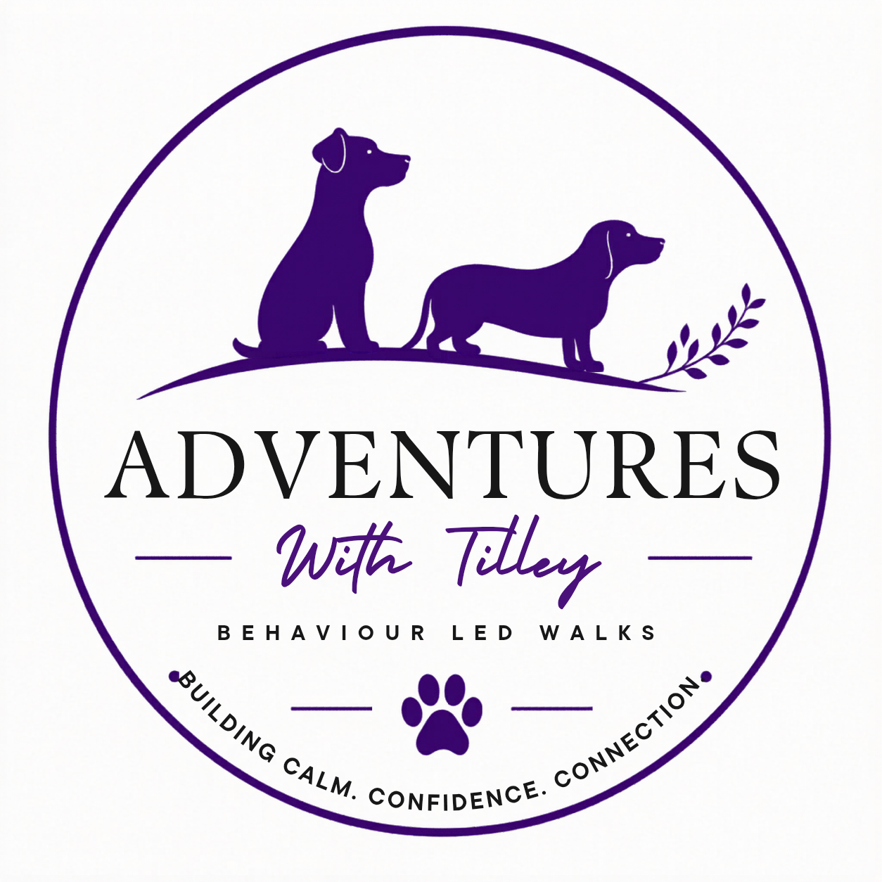 Adventures With Tilley