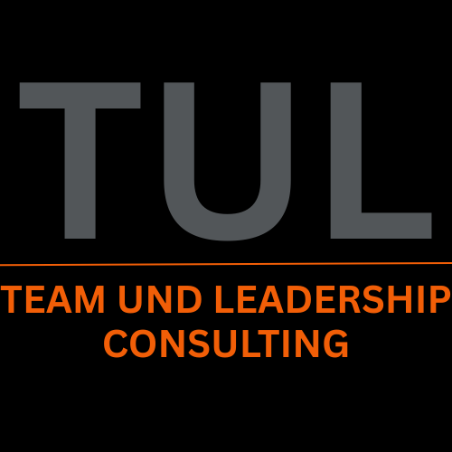 Team und Leadership Consulting