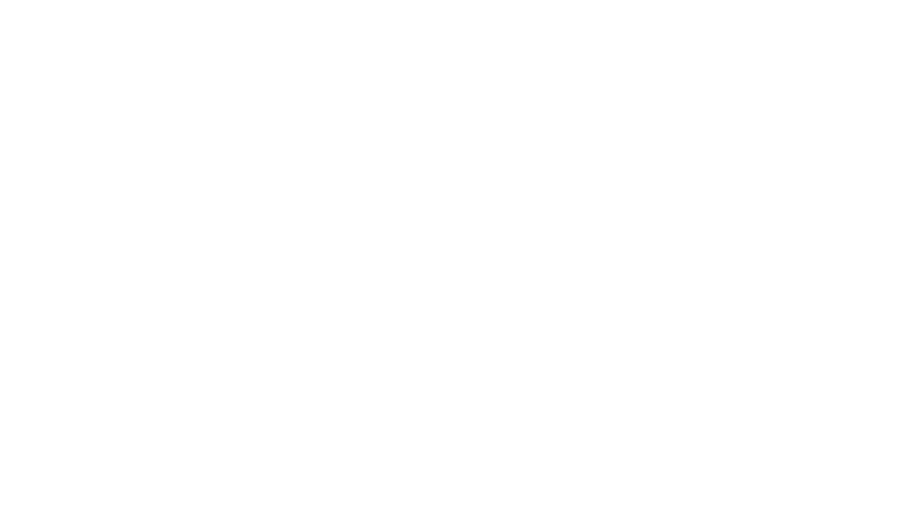 SALTLINE