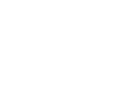 SALTLINE