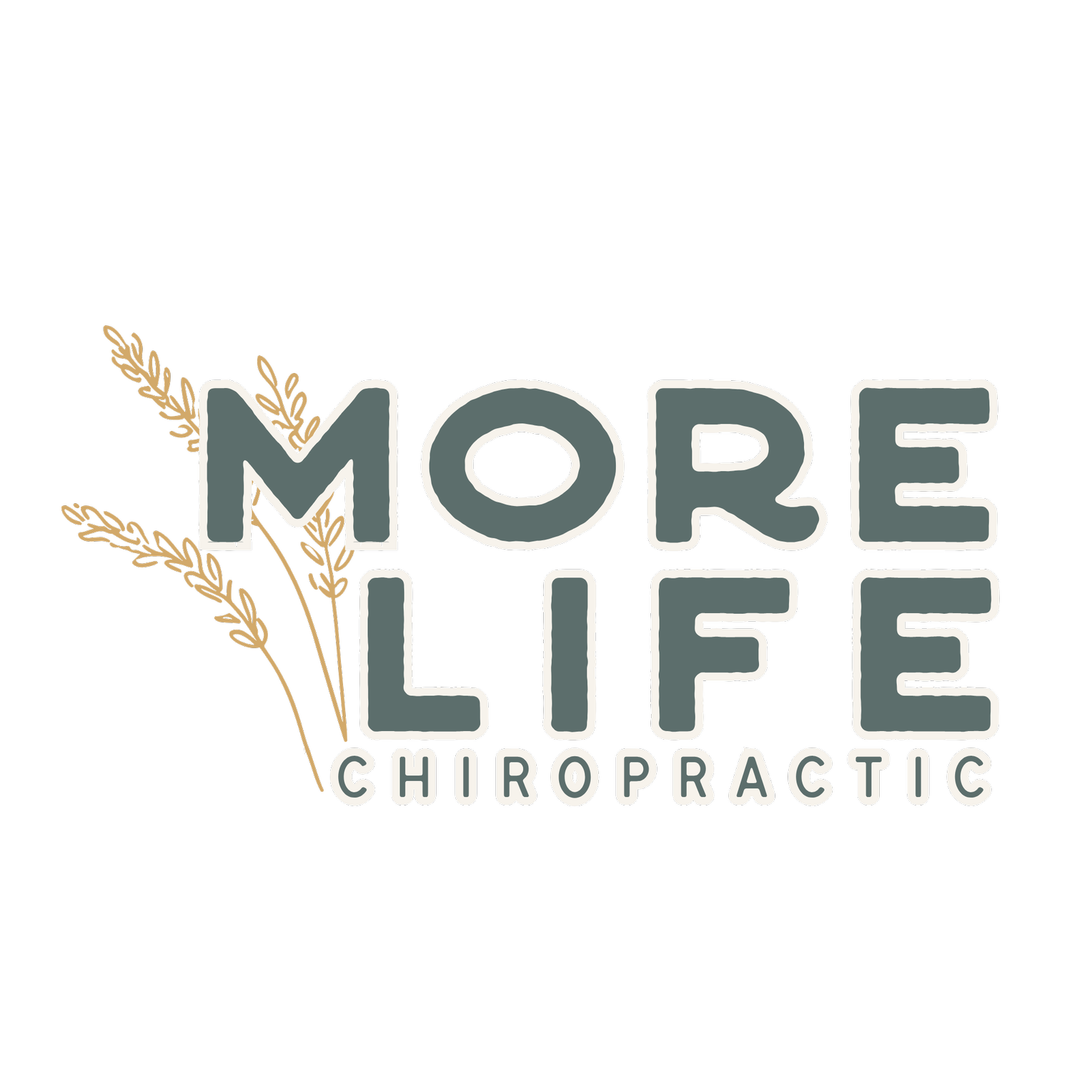 More Life Chiropractic