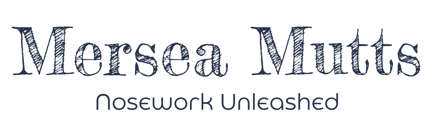 Mersea Mutts Training & Behaviour