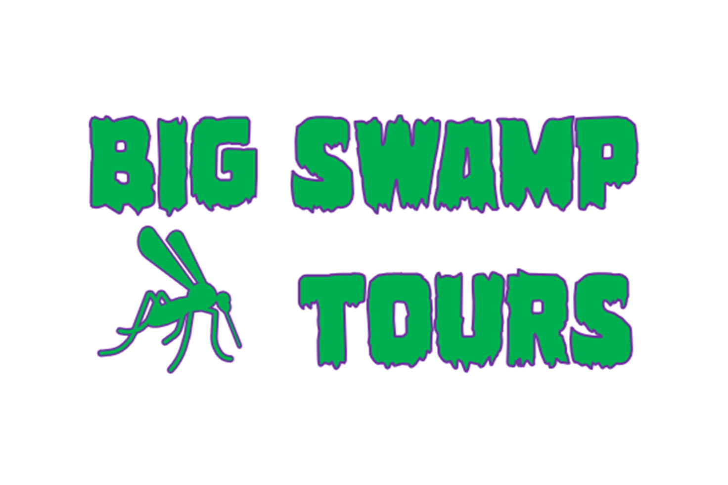 BIG SWAMP TOURS