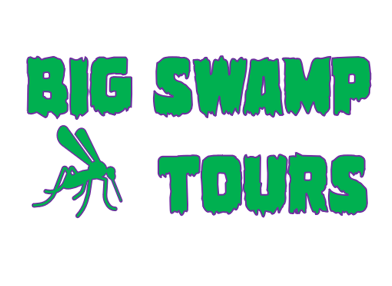 BIG SWAMP TOURS