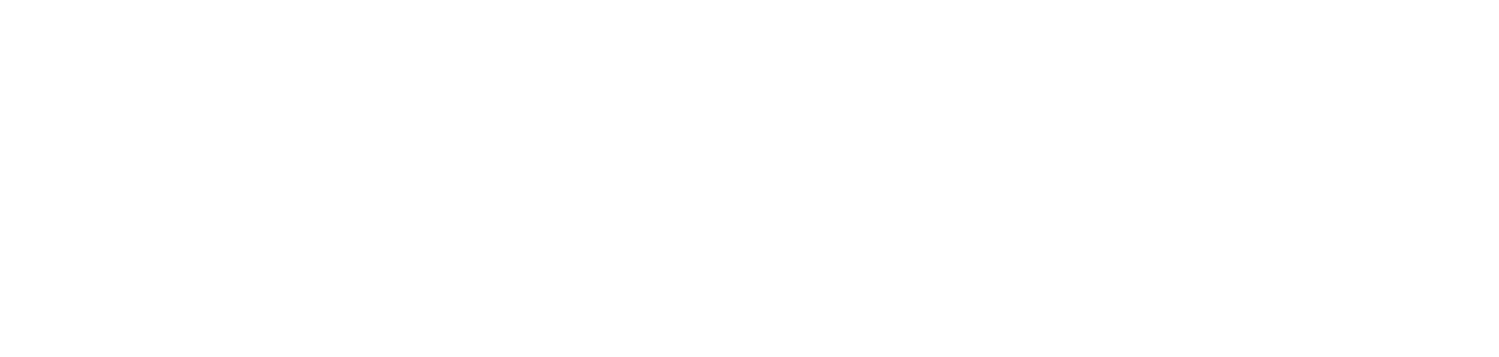 Limoinfinity Party Bus Rental
