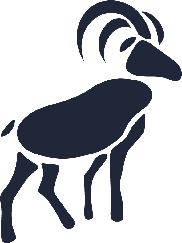 RAM Product Design Solutions