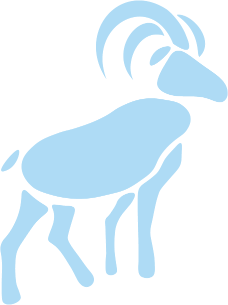 RAM Product Design Solutions