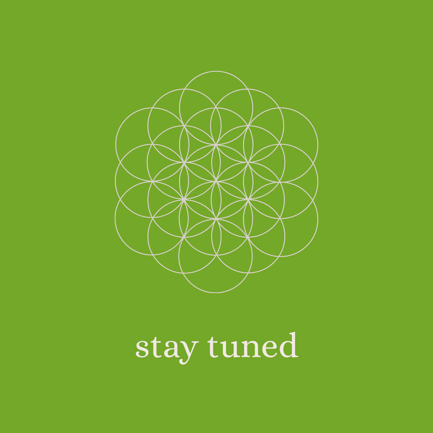 Stay Tuned