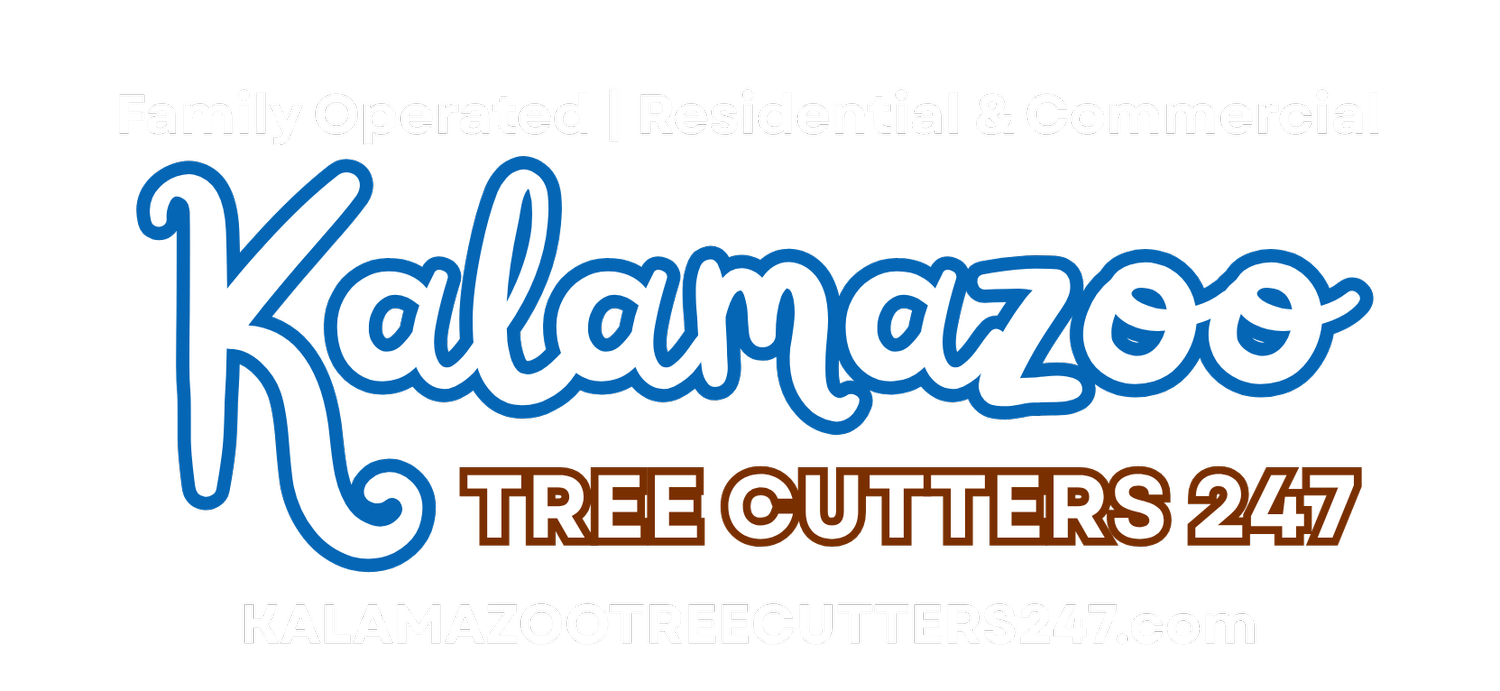 Kalamazoo, MI (Copy)