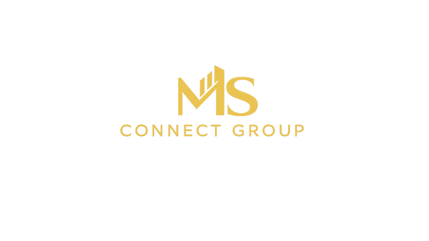 MS Connect Group
