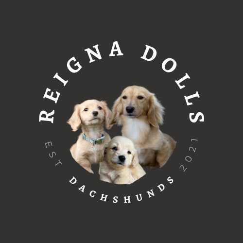 Reigna Dolls Dachshunds