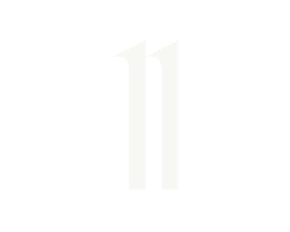 Level 11