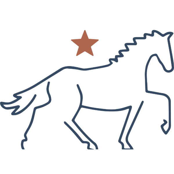 SBHA-SOS Mare Initiative Program