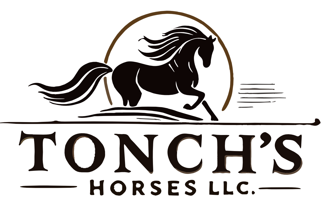 Tonch's Horses