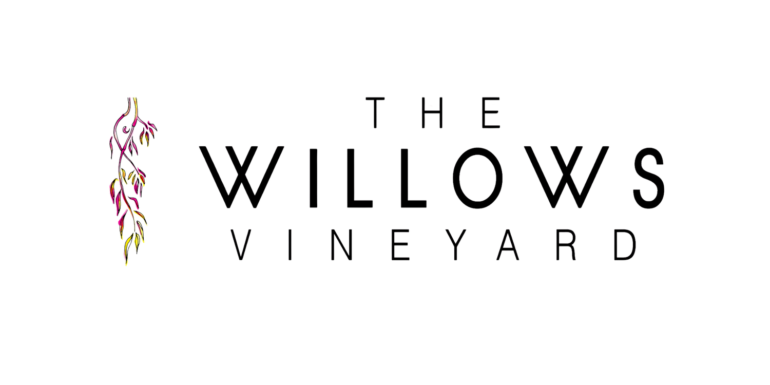 The Willows Vineyard