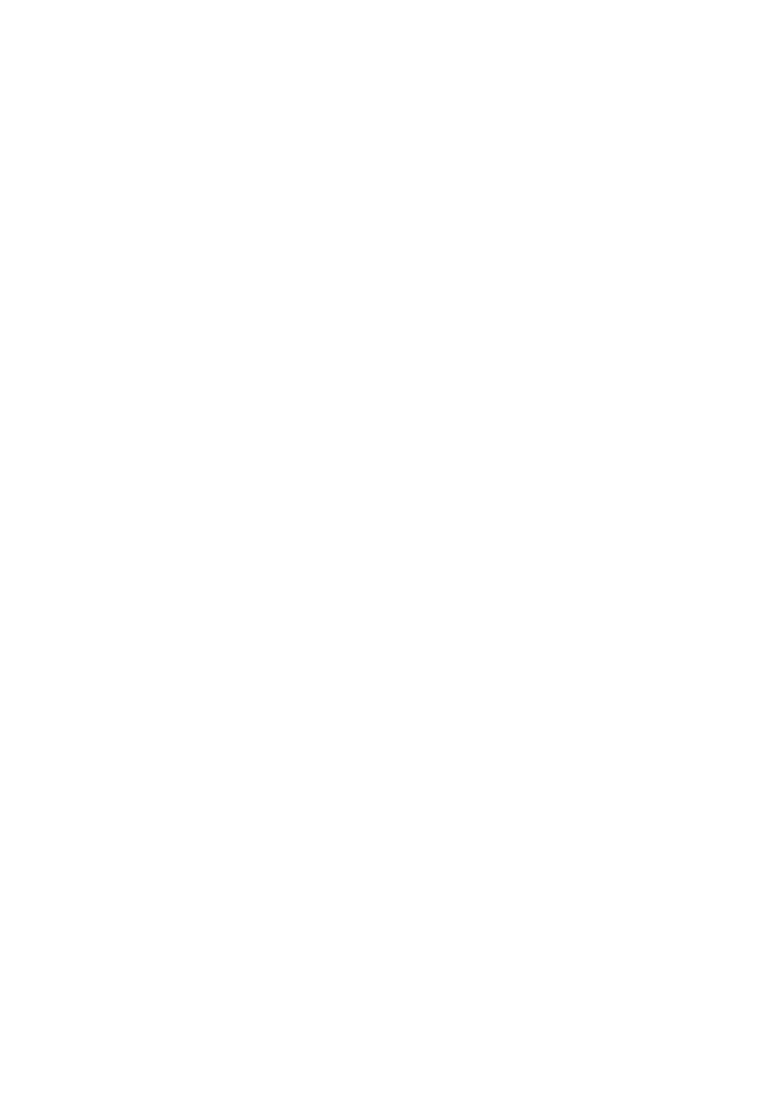 The Swan Inn