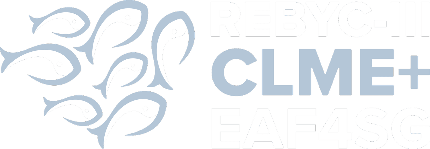 The Sustainable Fisheries Projects
