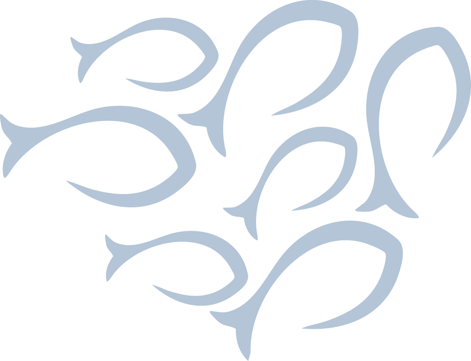 The Sustainable Fisheries Projects