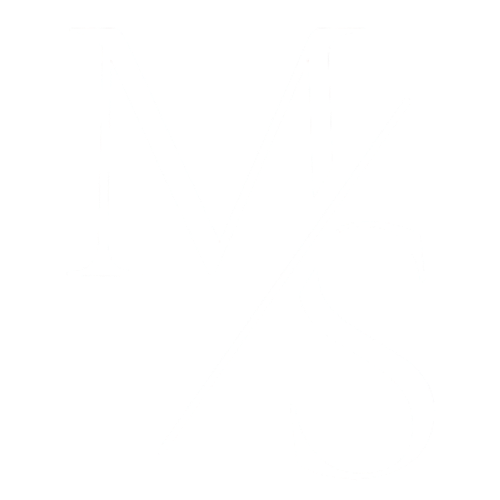 M/S