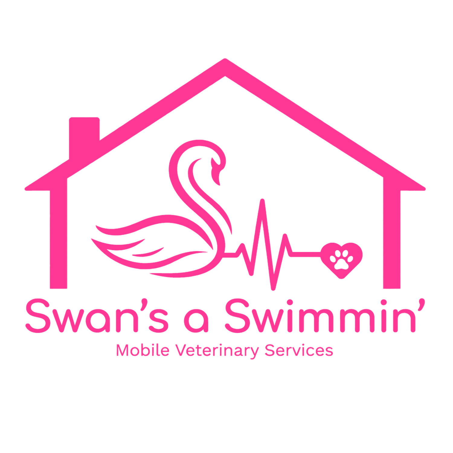 Swan's A Swimmin'