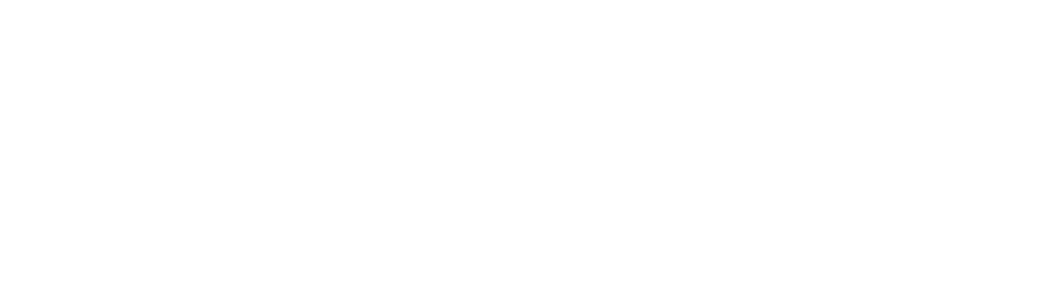Mycelium: Psychosocial Infrastructure