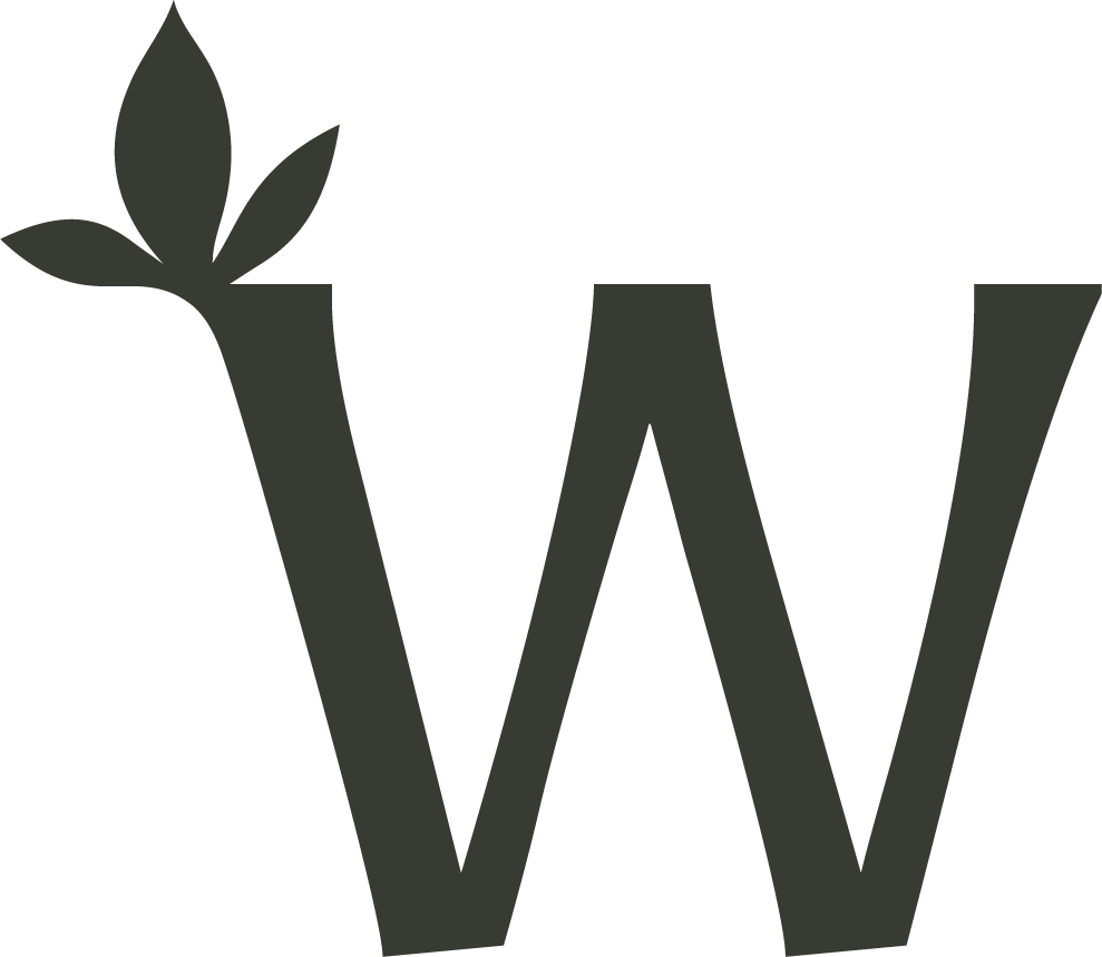Webster Paysages