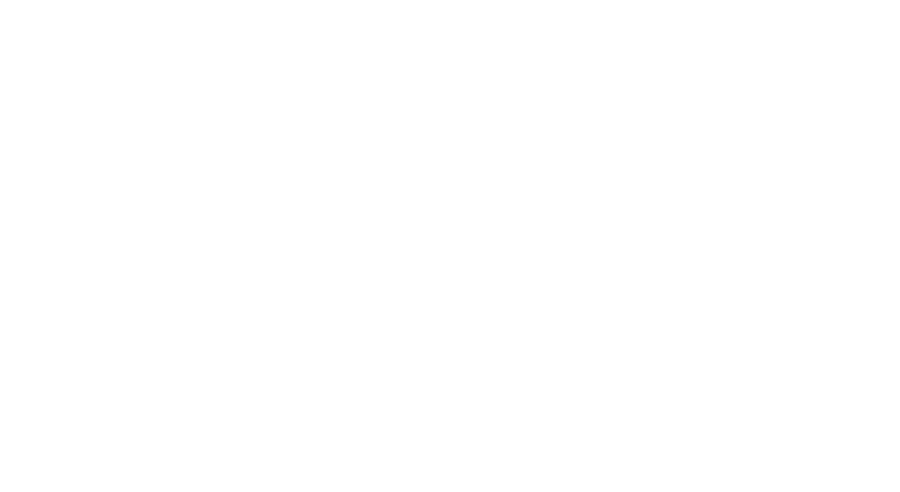 Singapore Fashion Council