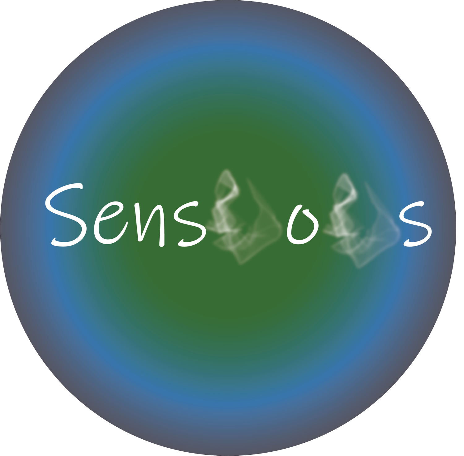 The Sensuous Shop