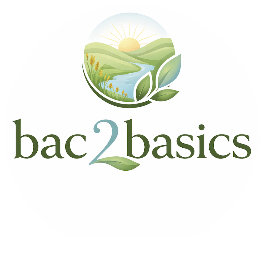 bac2basics