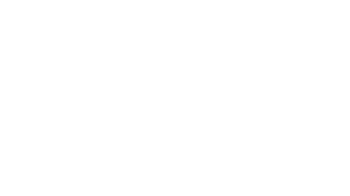 Bellus Studio