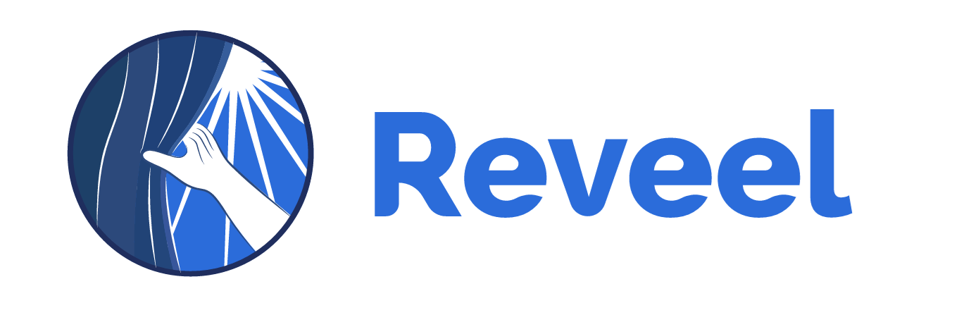 Cash Flow & Forensic Visualization